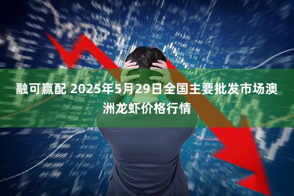融可赢配 2025年5月29日全国主要批发市场澳洲龙虾价格行情