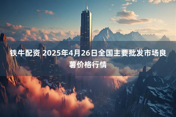 铁牛配资 2025年4月26日全国主要批发市场良薯价格行情
